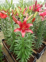 [4047 Tomar No01.JPG]